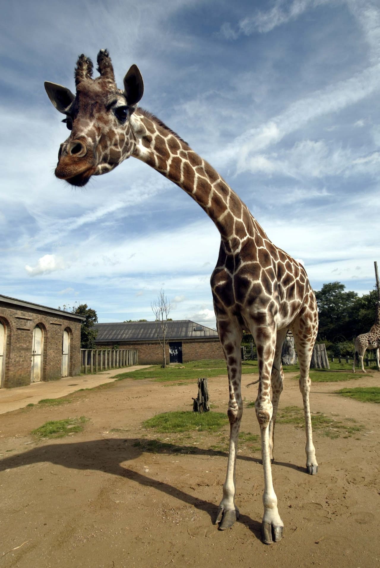 London Zoo - تصویر 6