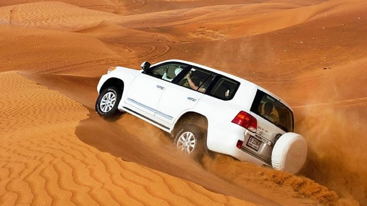 Liwa Desert Safari Tour - تصویر 4