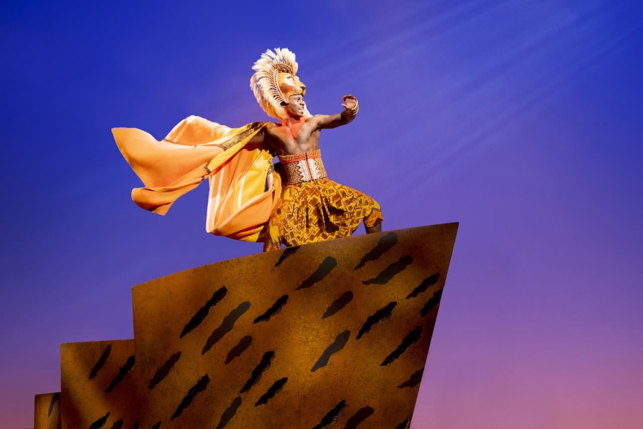 The Lion King Broadway Musical Ticket in New York - تصویر 7