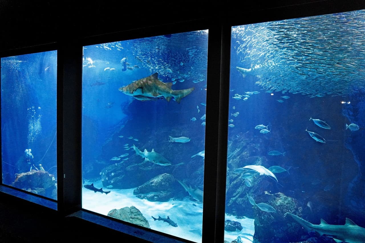 Marine World Uminonakamichi - تصویر 4