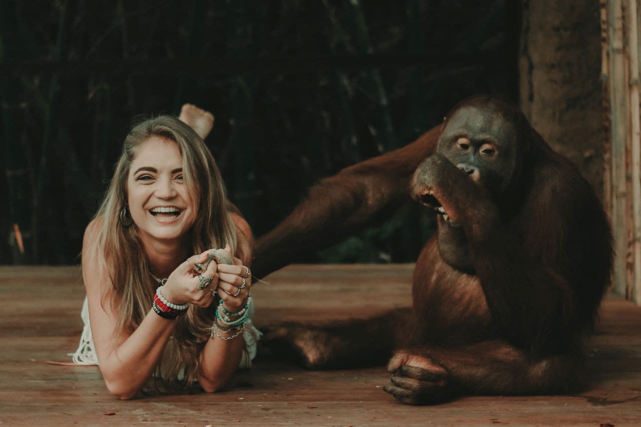 Lombok Wildlife Park Orangutan Interaction - تصویر 2