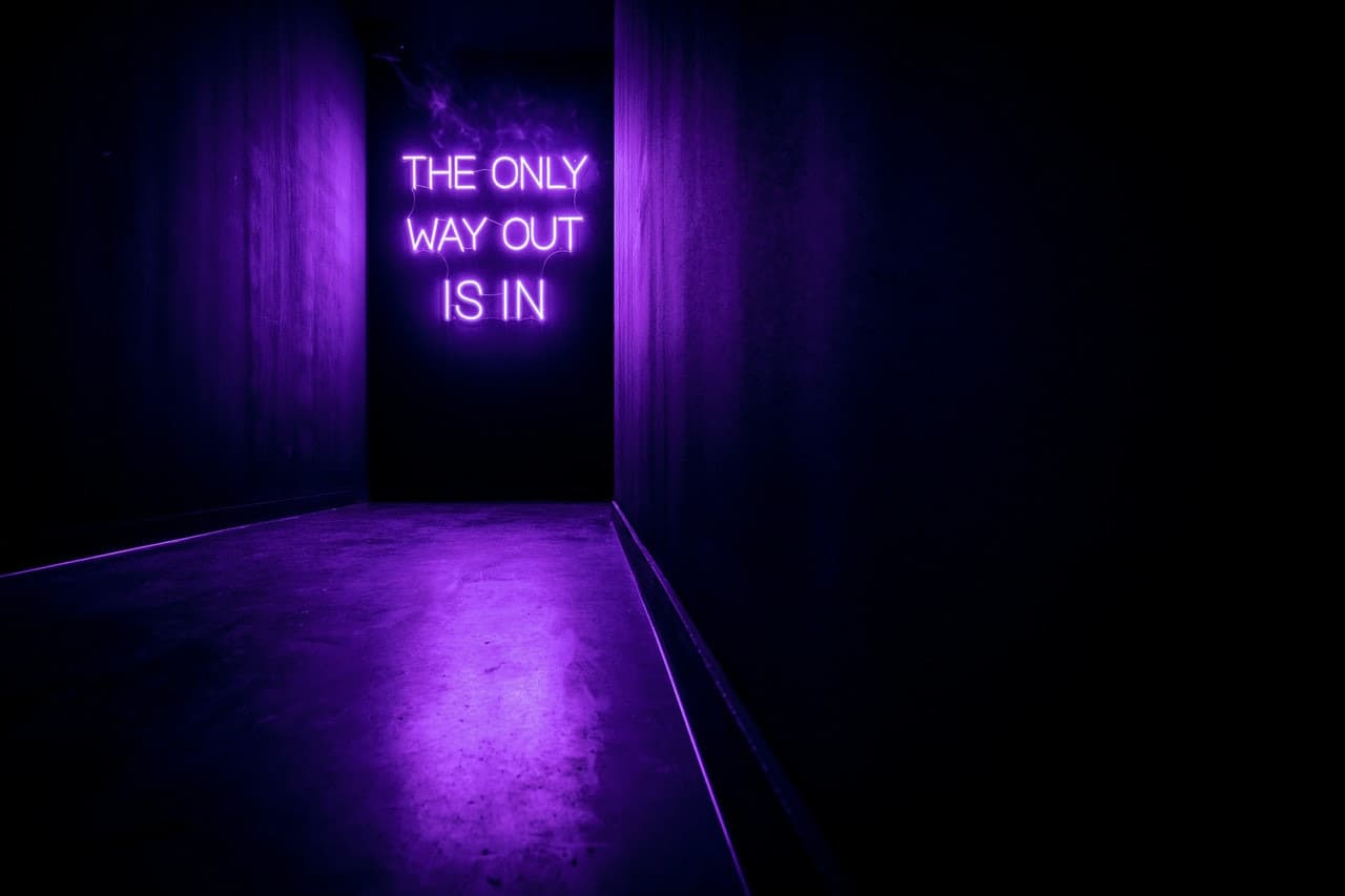 AMAZE: The Immersive Experience - تصویر 10