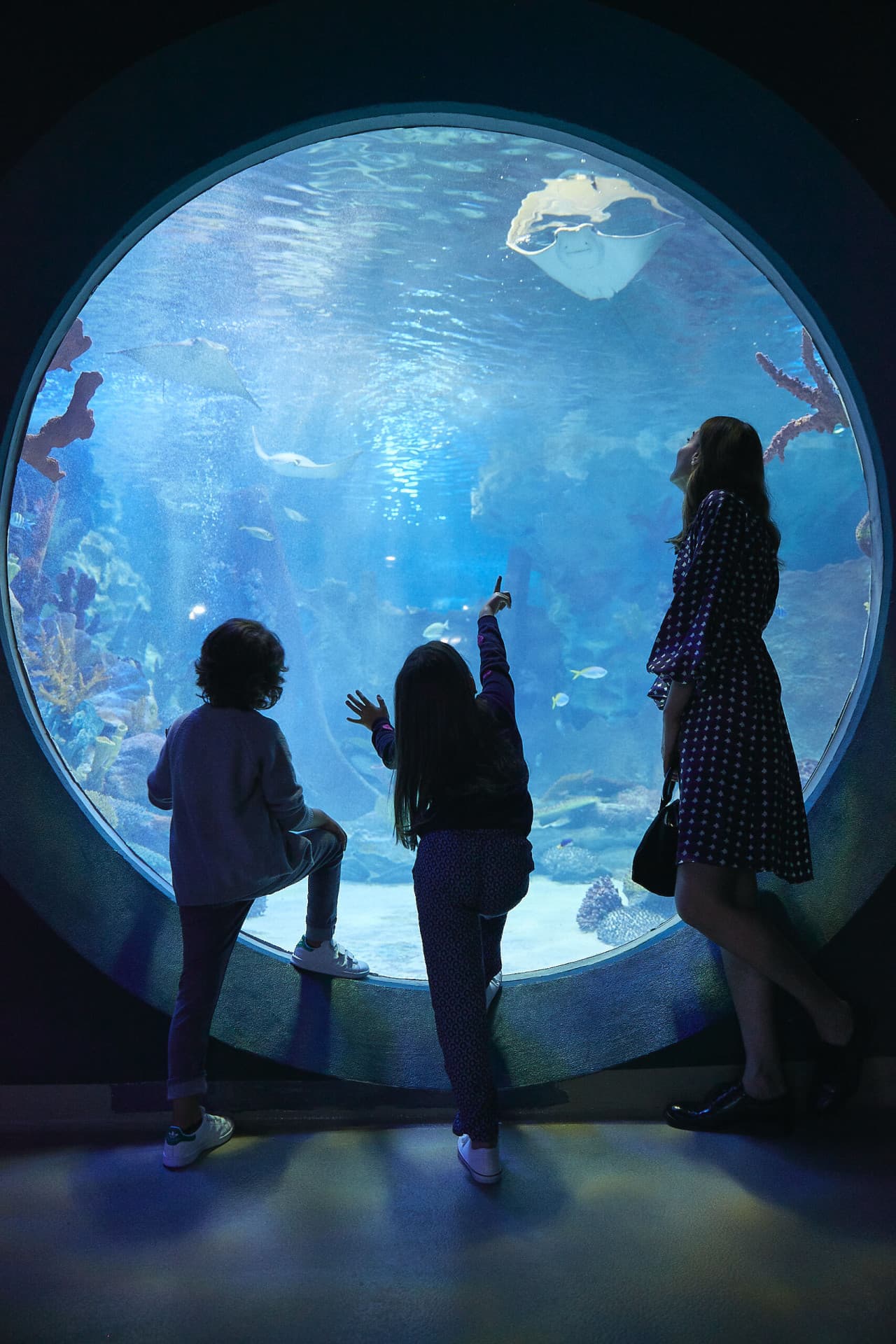 Emaar Aquarium and Underwater Zoo Ticket - تصویر 4
