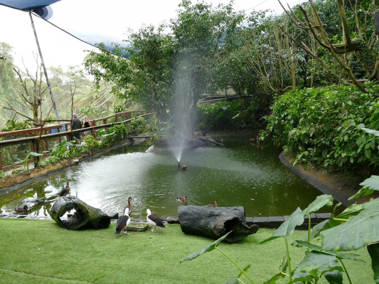 Birdworld Kuranda - تصویر 8