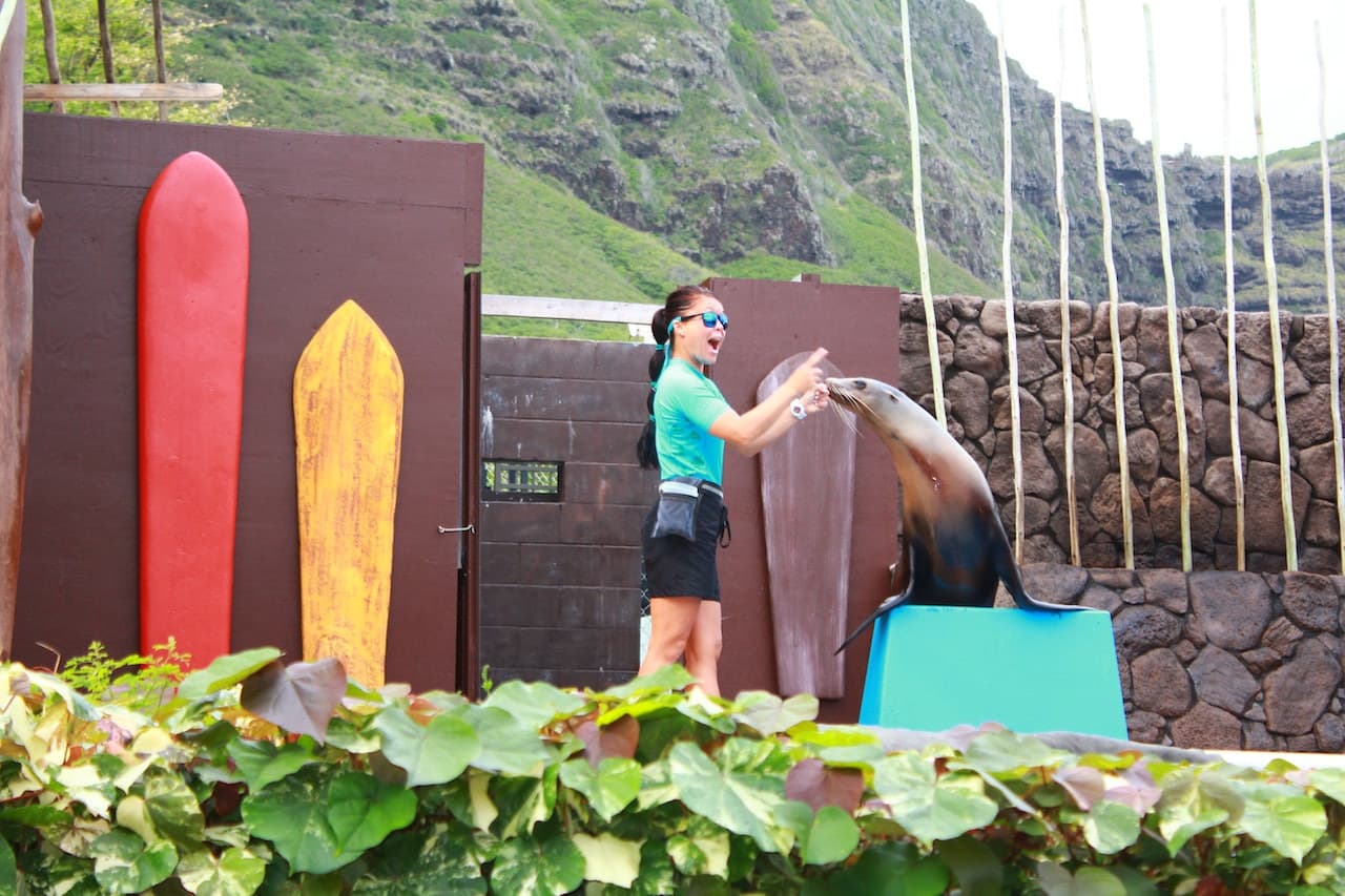 Sea Life Park Hawaii - تصویر 6