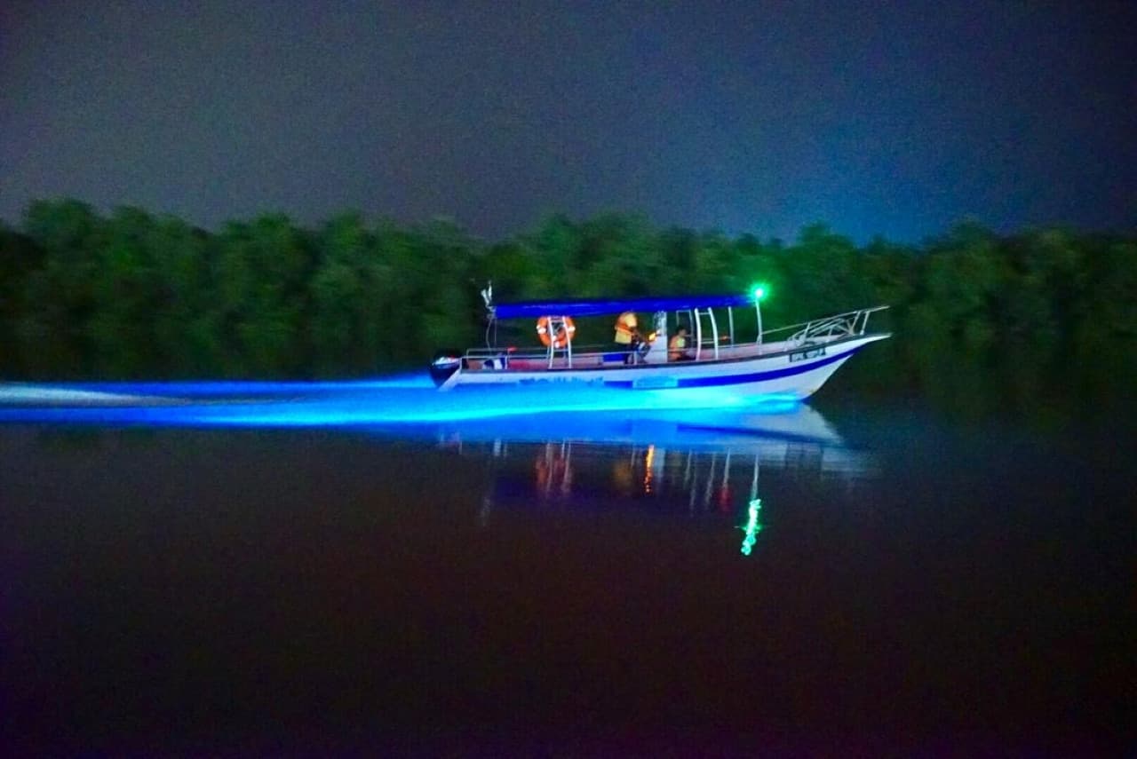 Blue Tears Boat Cruise in Kuala Selangor - تصویر 5