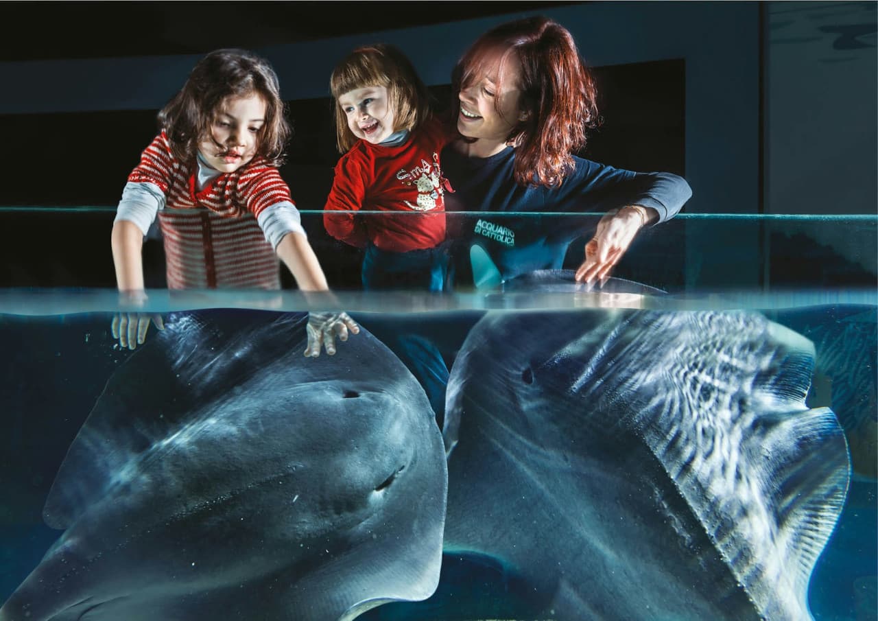 Aquarium of Cattolica Ticket - تصویر 3