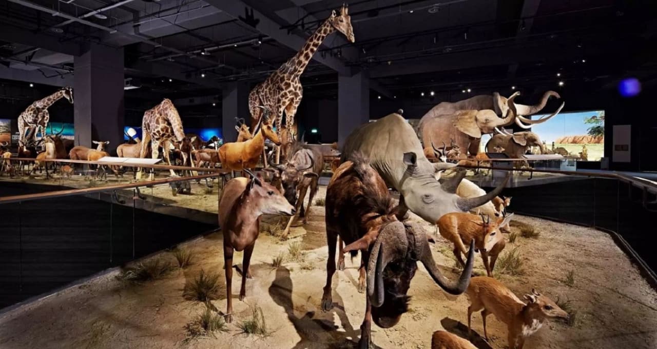 Tainan Chimei Museum - تصویر 4
