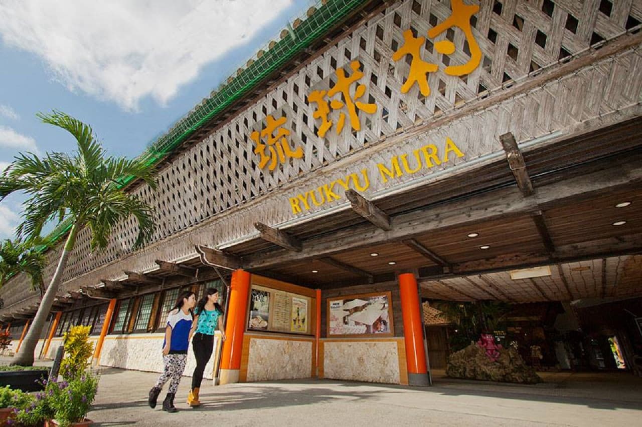 Okinawa Churaumi TokuToku 5 Pass - تصویر 10