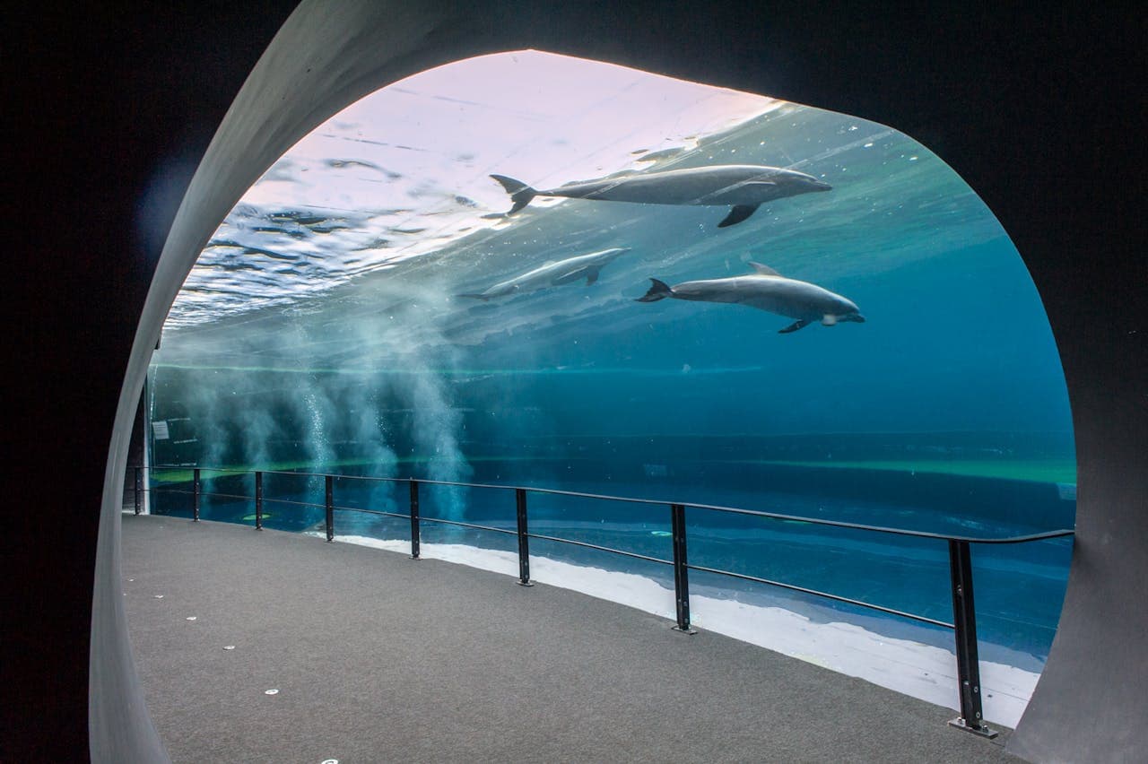 Aquarium of Genoa Ticket - تصویر 2