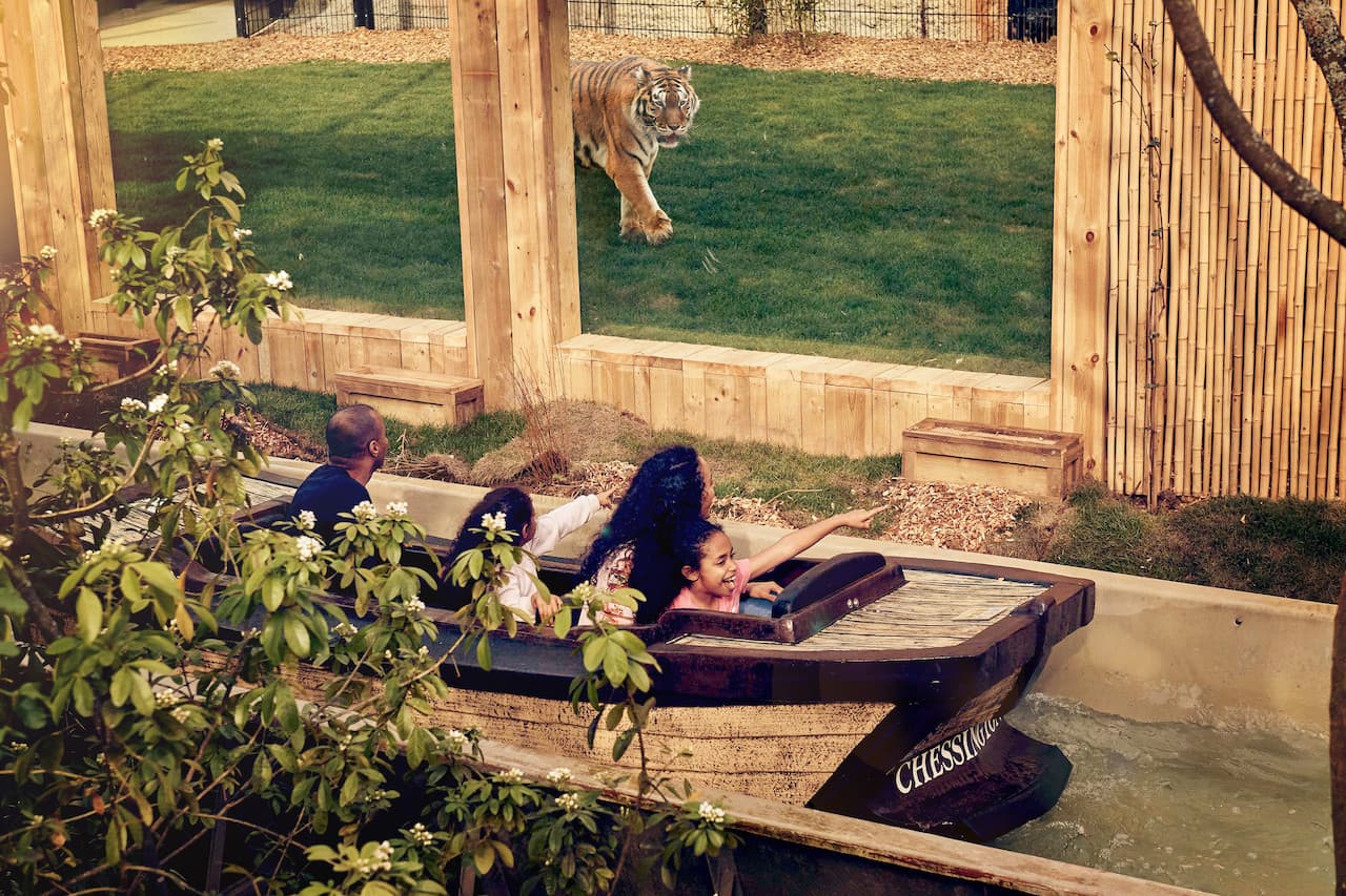 Chessington World of Adventures Ticket - تصویر 17