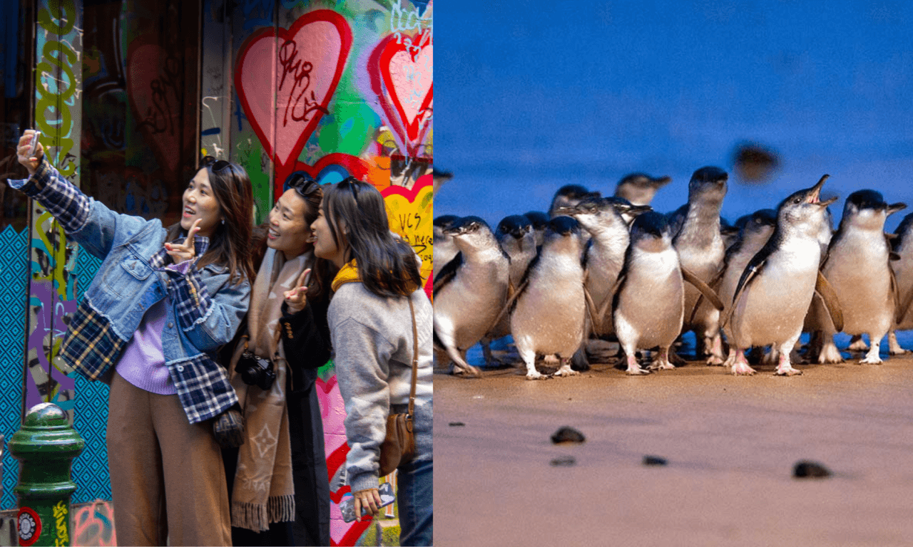 Melbourne City Discovery Tour with Penguin Parade - تصویر 17
