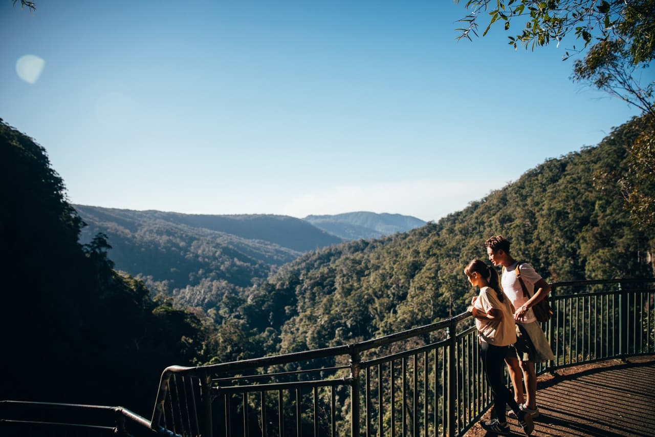 Springbrook National Park Tour: Natural Bridge and Waterfalls - تصویر 4