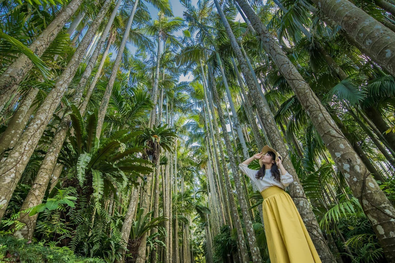 Okinawa Churaumi TokuToku 5 Pass - تصویر 8