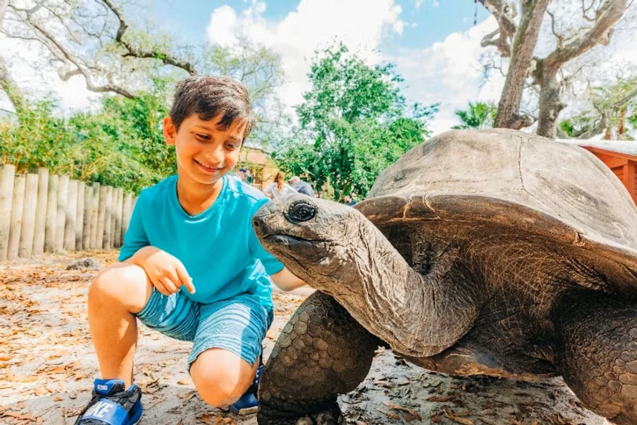 ZooTampa at Lowry Park Ticket - تصویر اصلی