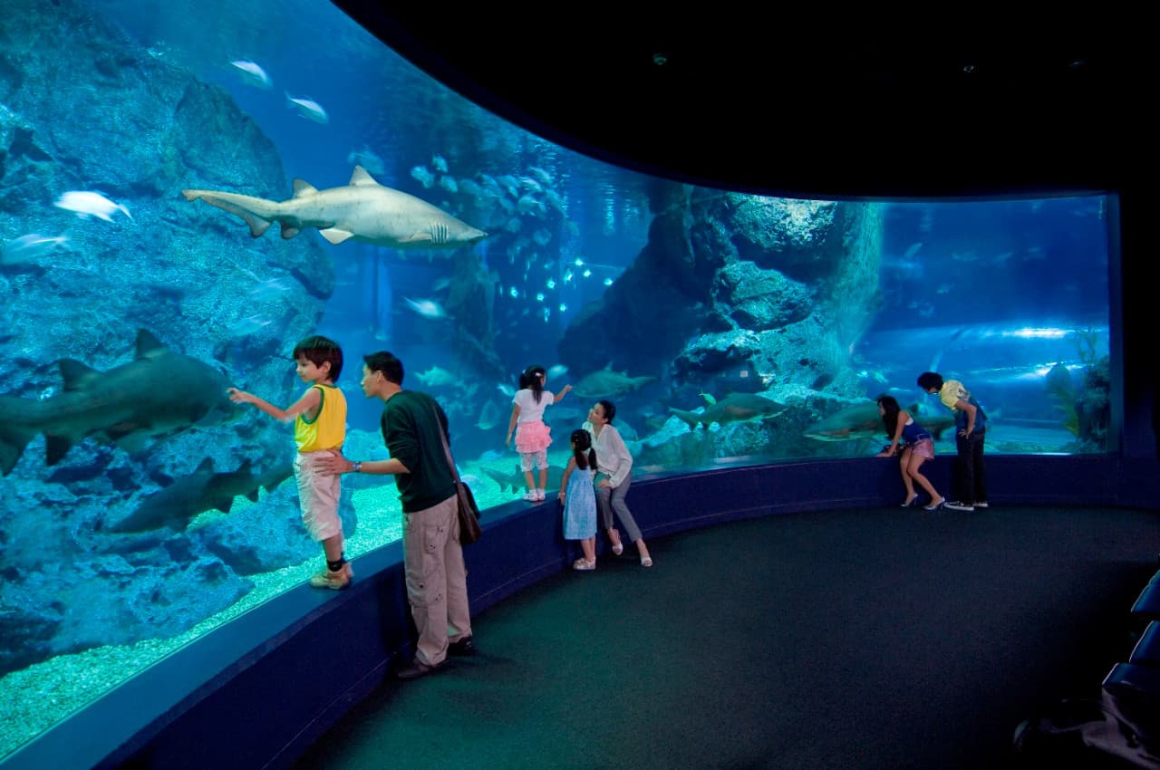 SEA LIFE Bangkok Ocean World Ticket - تصویر 7