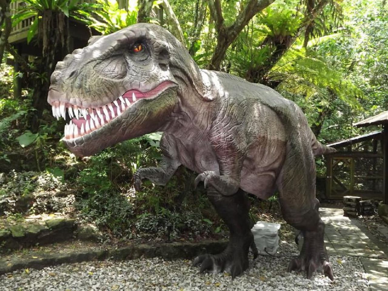 Okinawa Dino Park Yanbaru Subtropical Forest Ticket - تصویر اصلی
