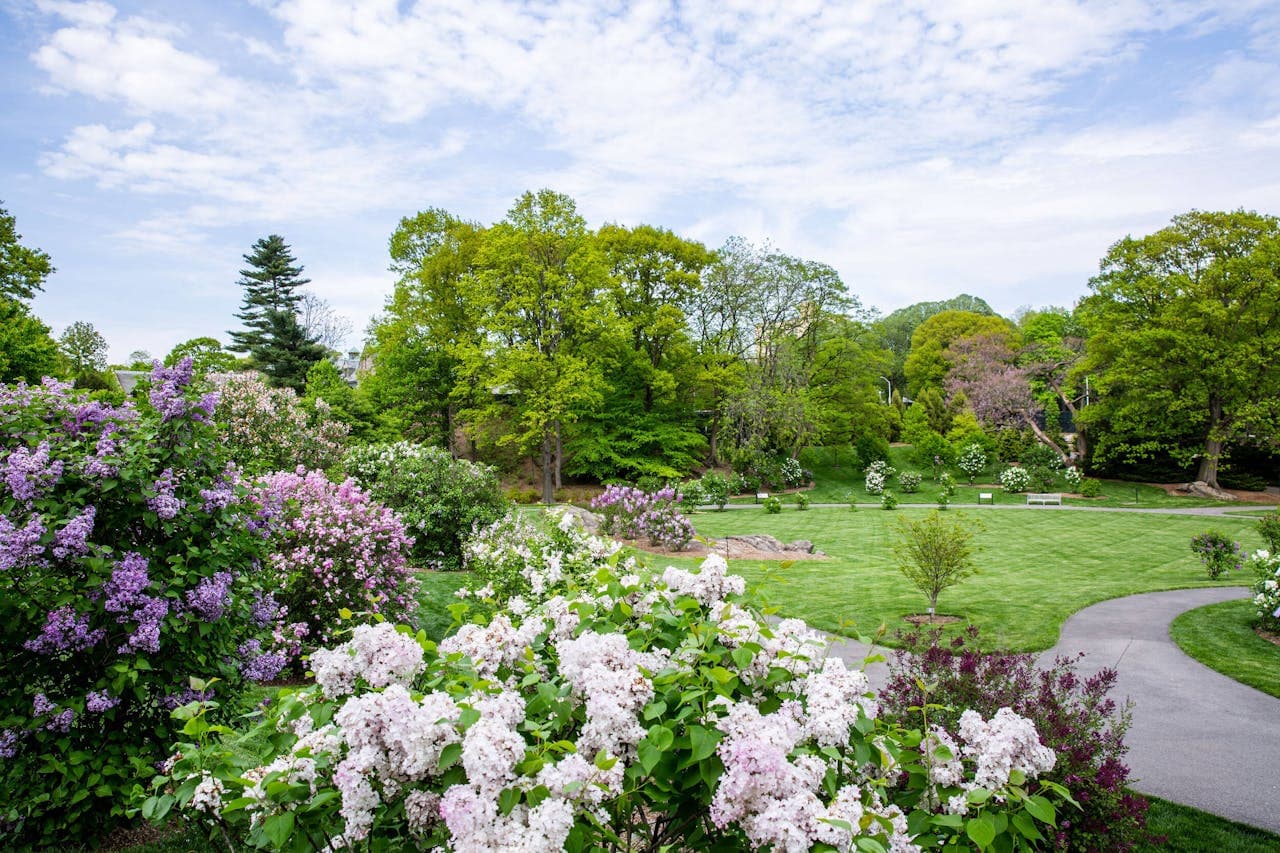 New York Botanical Garden Ticket - تصویر 11