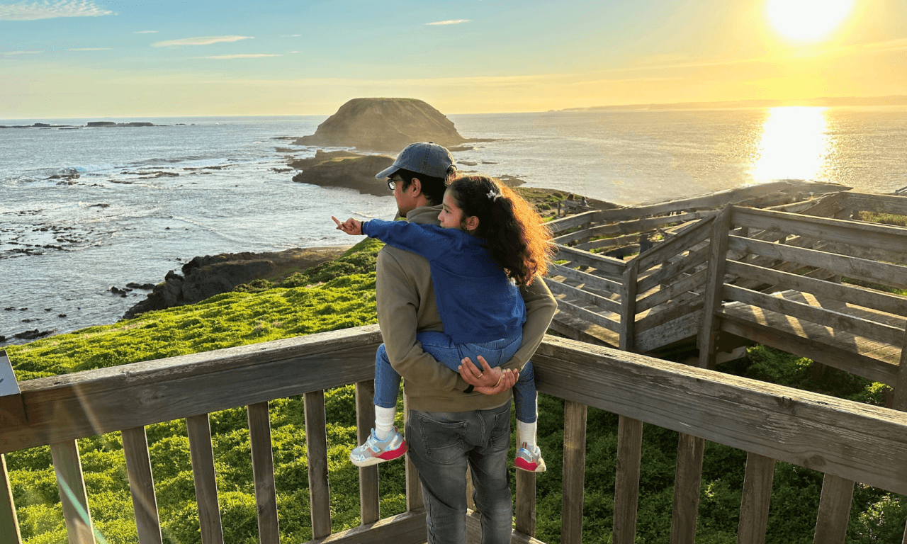 Phillip Island with Penguin Parade Eco Tour - تصویر 22