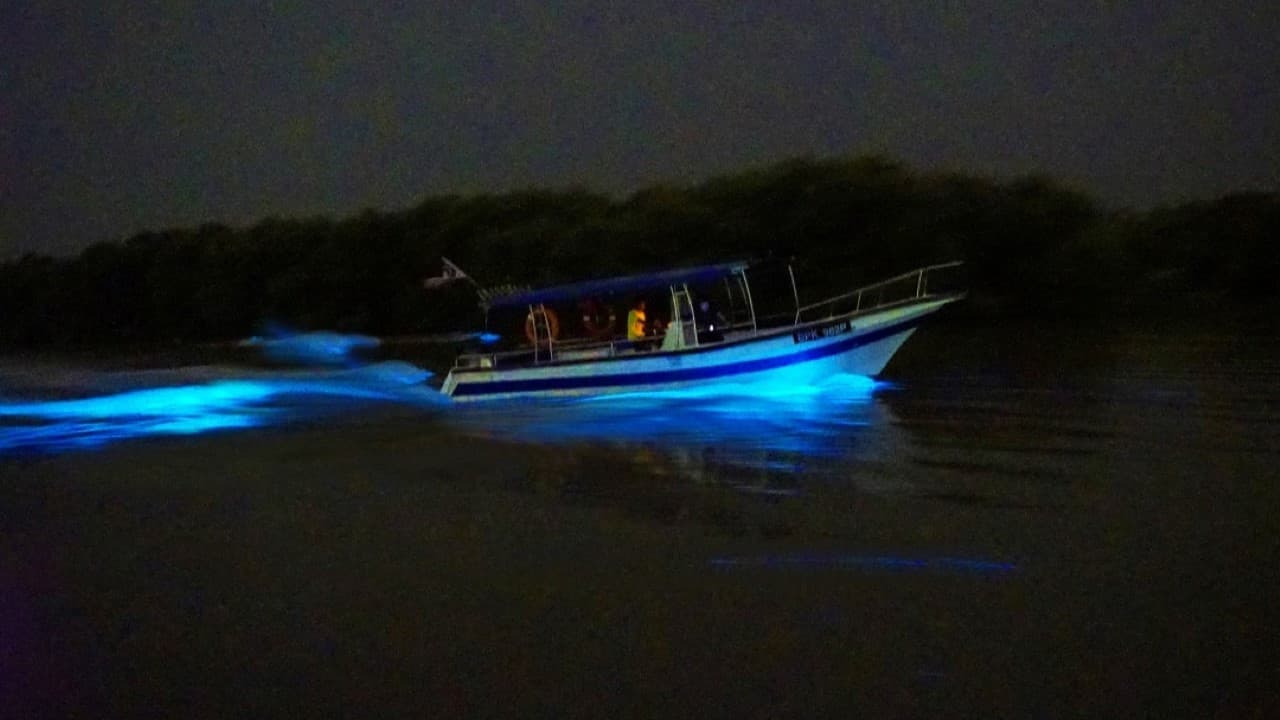Blue Tears Boat Cruise in Kuala Selangor - تصویر 6