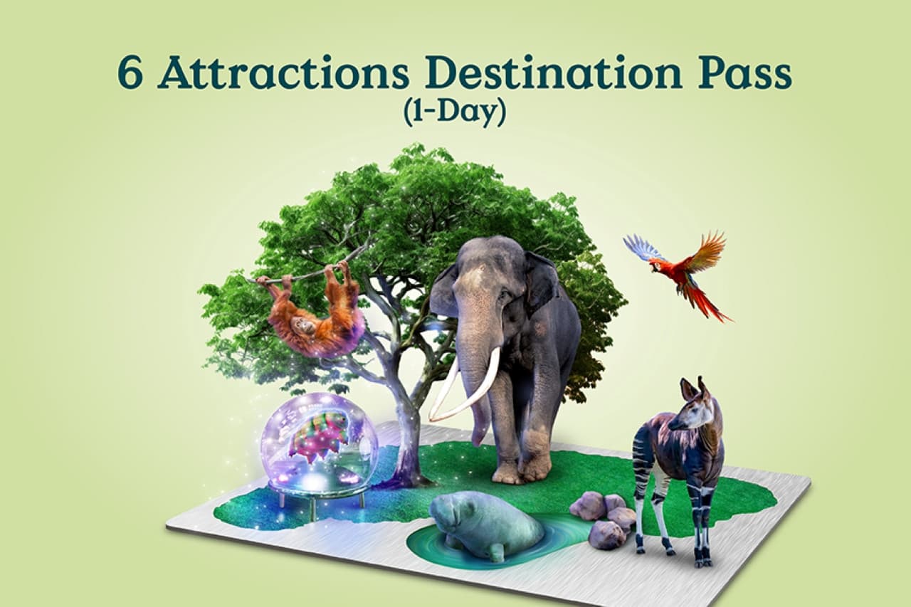 Mandai Destination Pass: Visit Up to 6 Attractions in 1 or 5 Days - تصویر اصلی