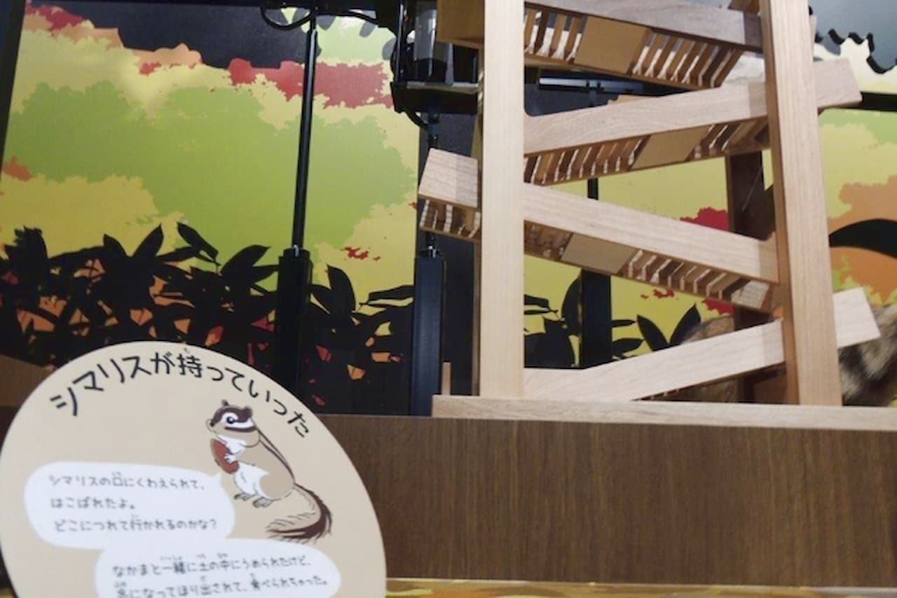 Hokkaido Museum Ticket - تصویر 3