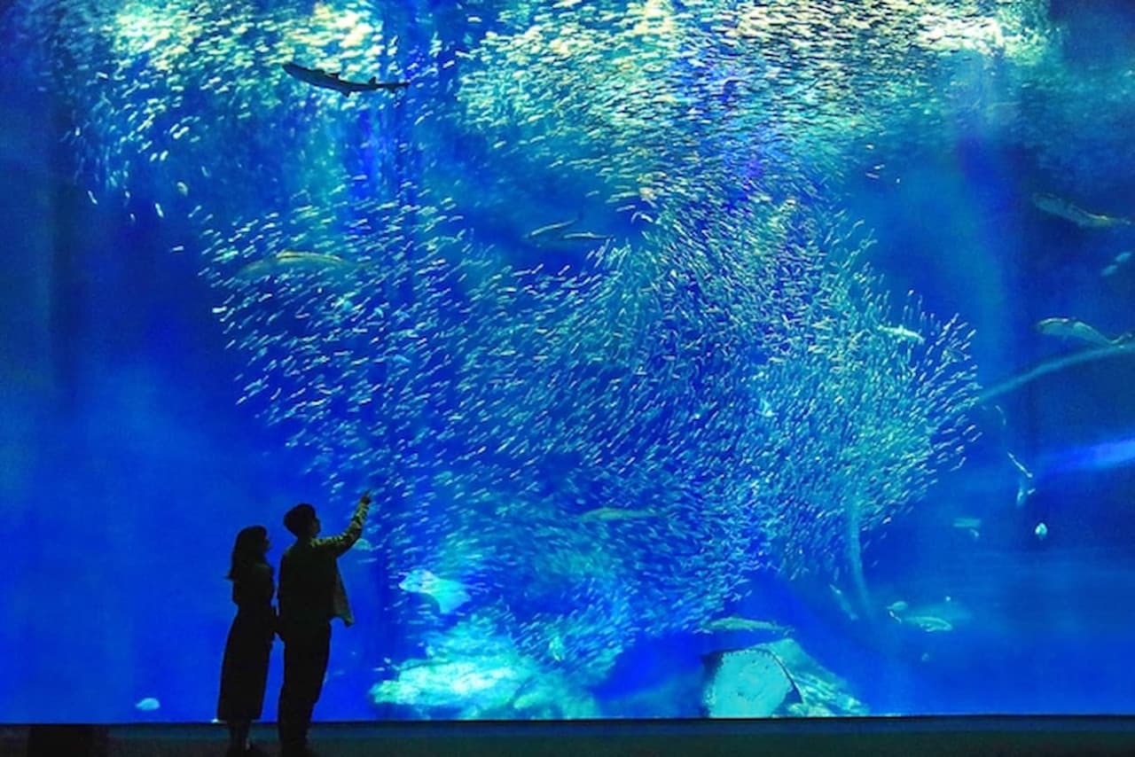 Aqua World Ibaraki Prefectural Oarai Aquarium Ticket - تصویر 4
