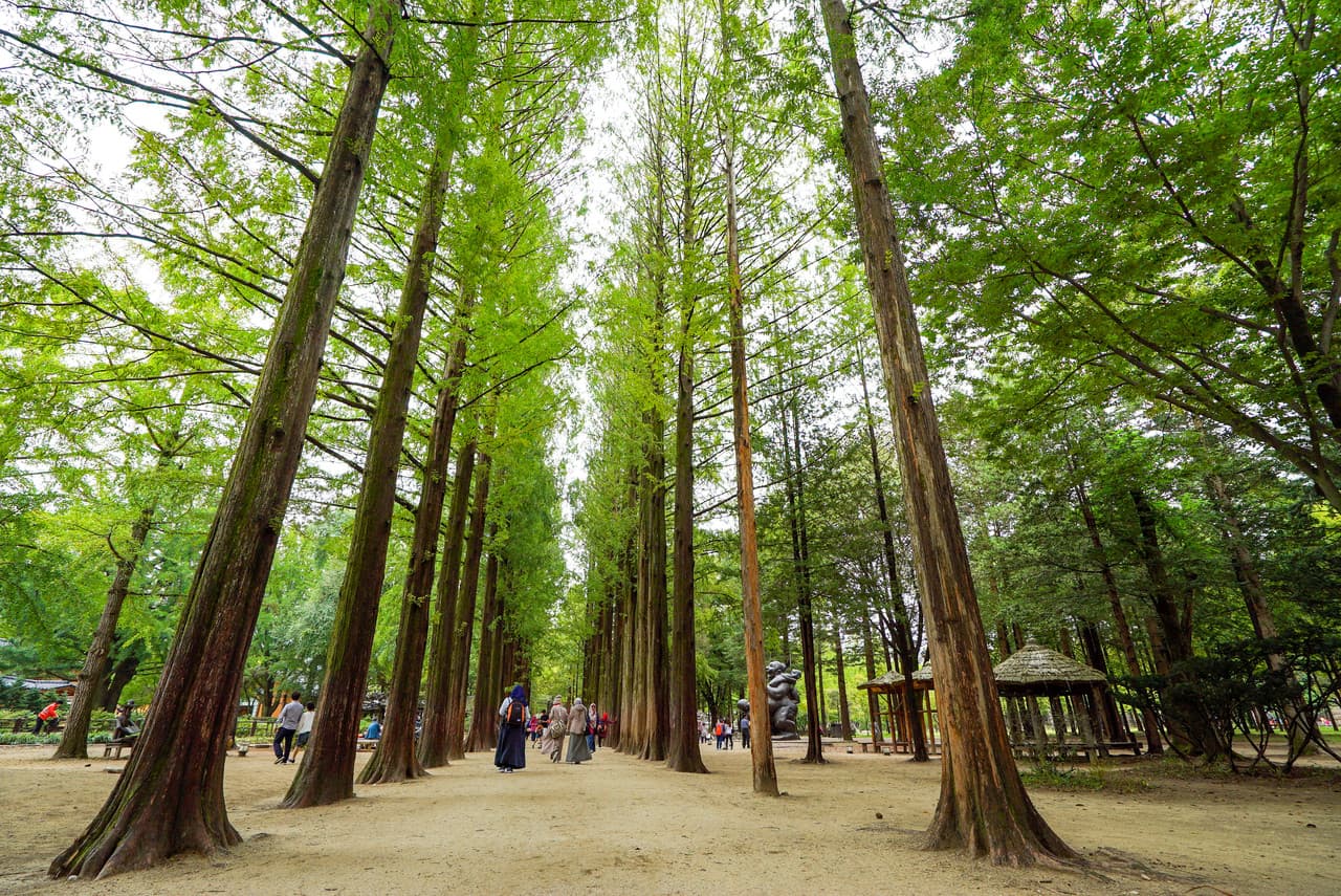 Nami Island, Petite France, and Italian Village Tour from Seoul - تصویر 2