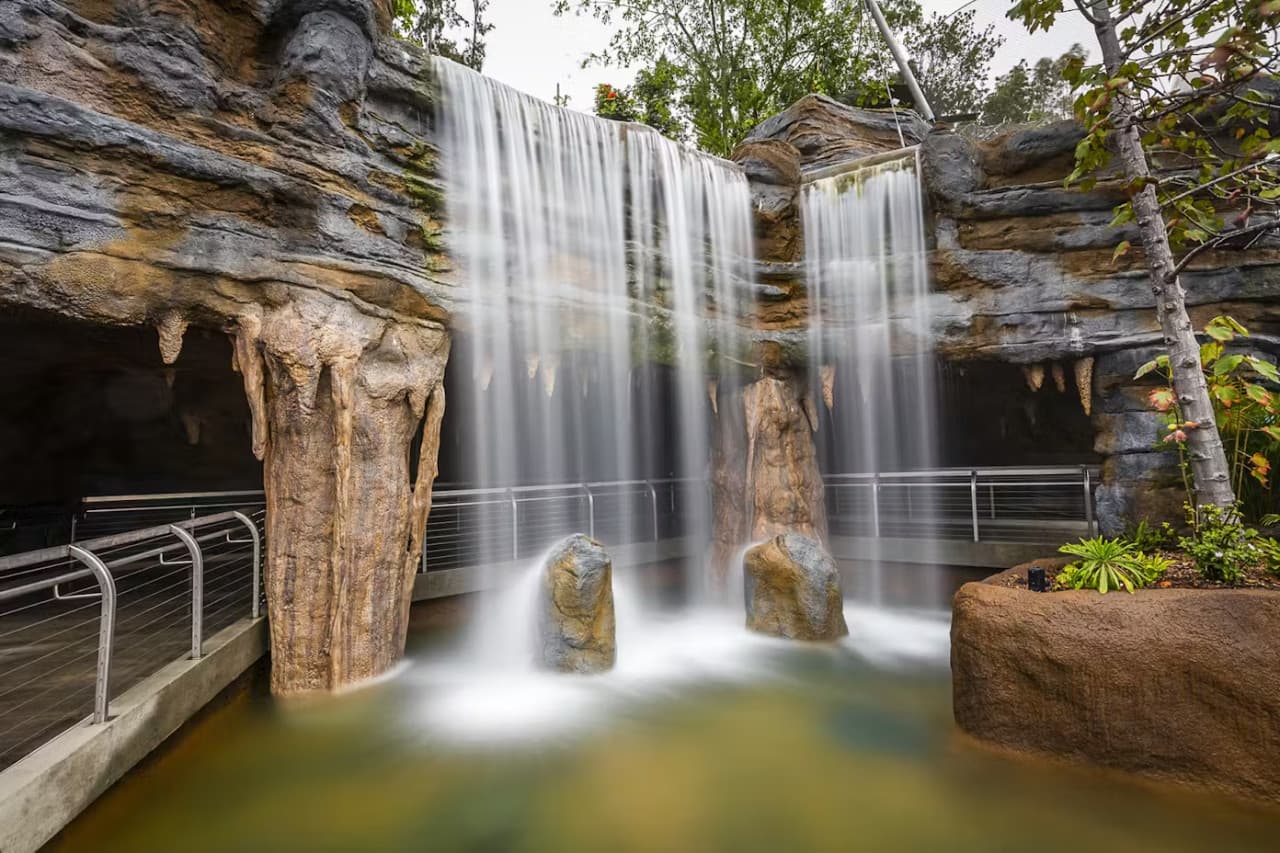 2-Visit Pass: San Diego Zoo + San Diego Zoo Safari Park Tickets - تصویر 5