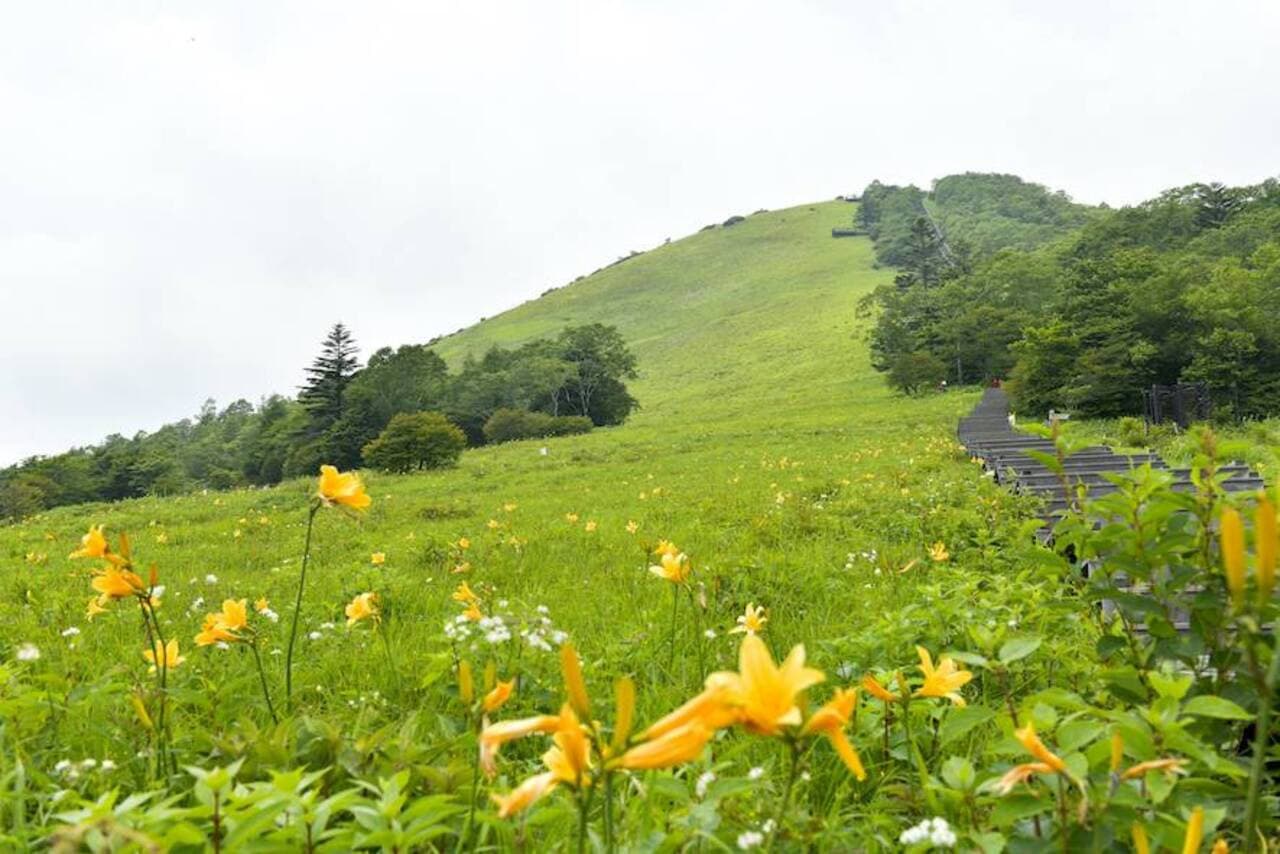 Nikko Pass All Area - تصویر 8