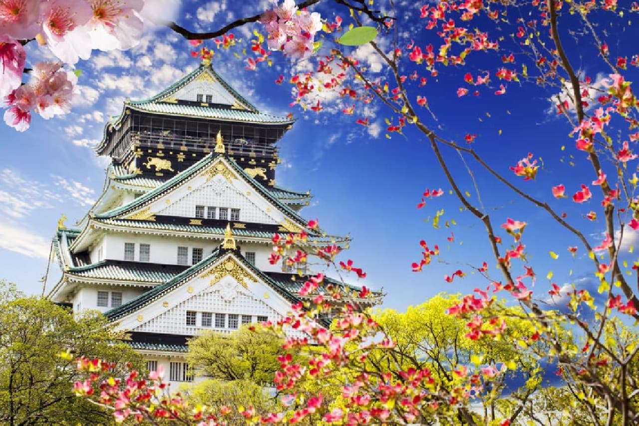 Osaka Sky Vista or Nani Wonder Sightseeing Bus Tour - تصویر 9