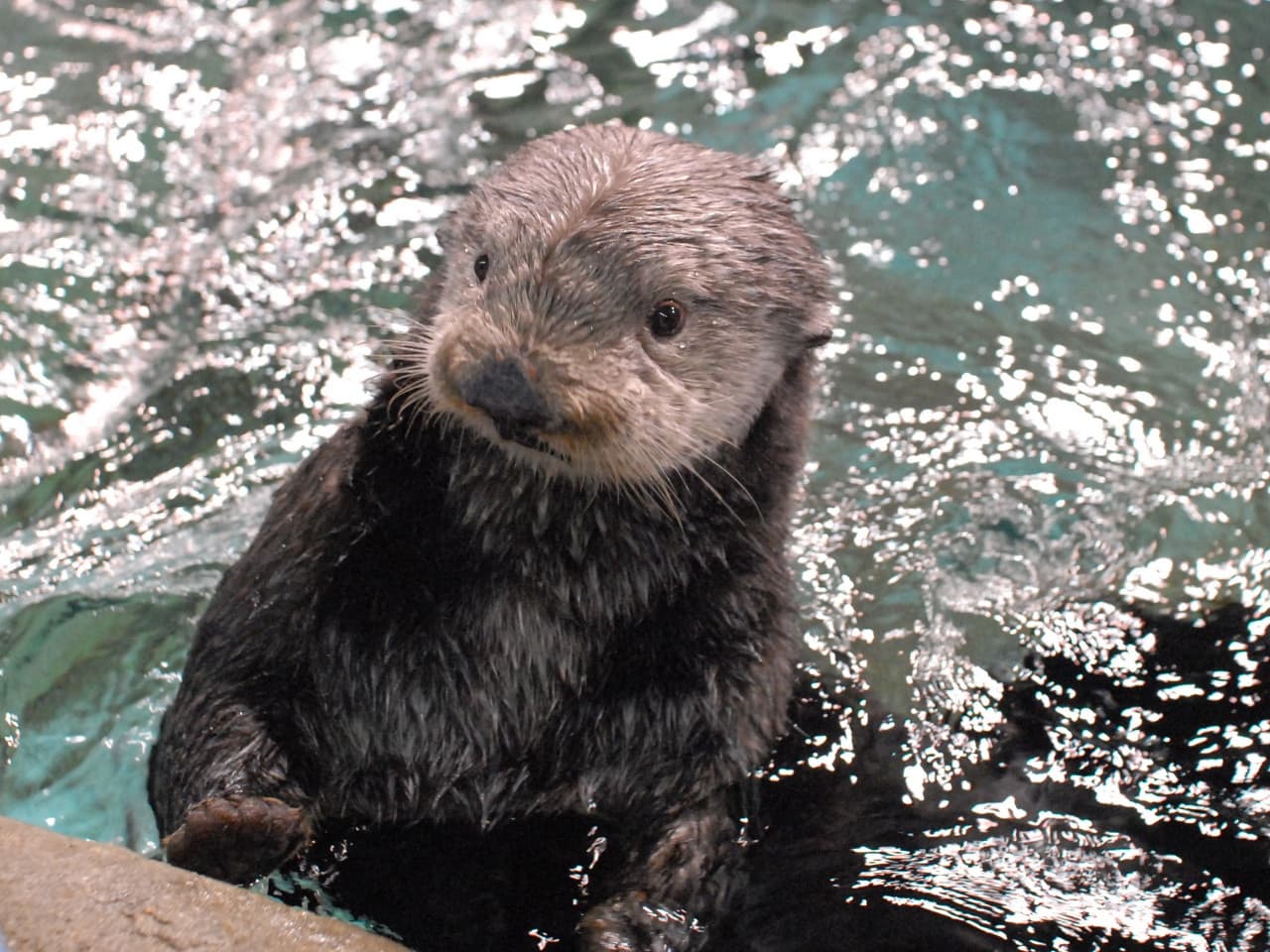 Marine World Uminonakamichi - تصویر 2