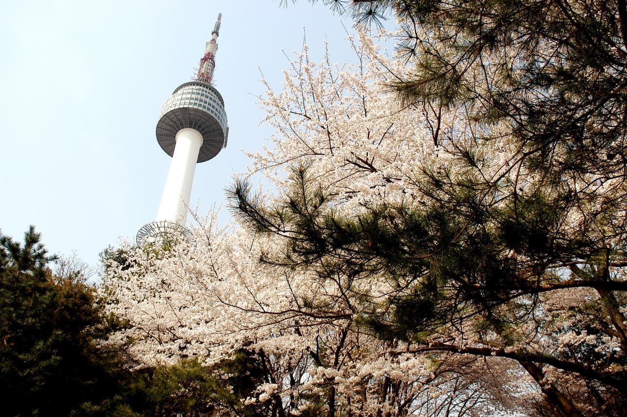 COMBO: AREX Incheon Airport Express Train + SIM Card + N Seoul Tower - تصویر 9