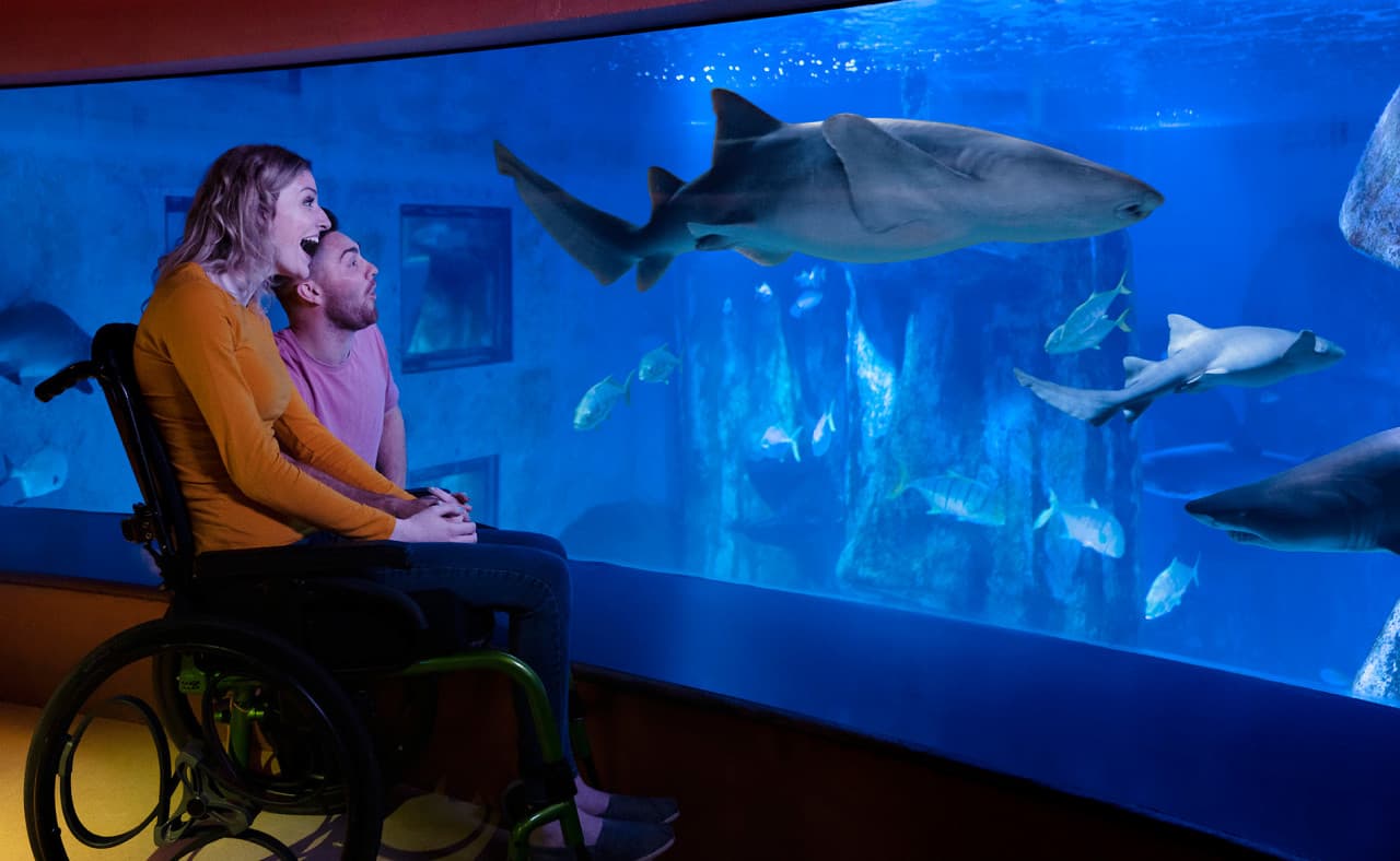 SEA LIFE London Aquarium Ticket - تصویر 18