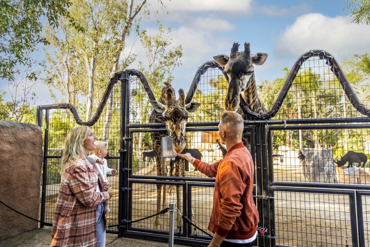 Go City Los Angeles All-Inclusive Pass Plus: Save up to 50% on Attractions - تصویر 4