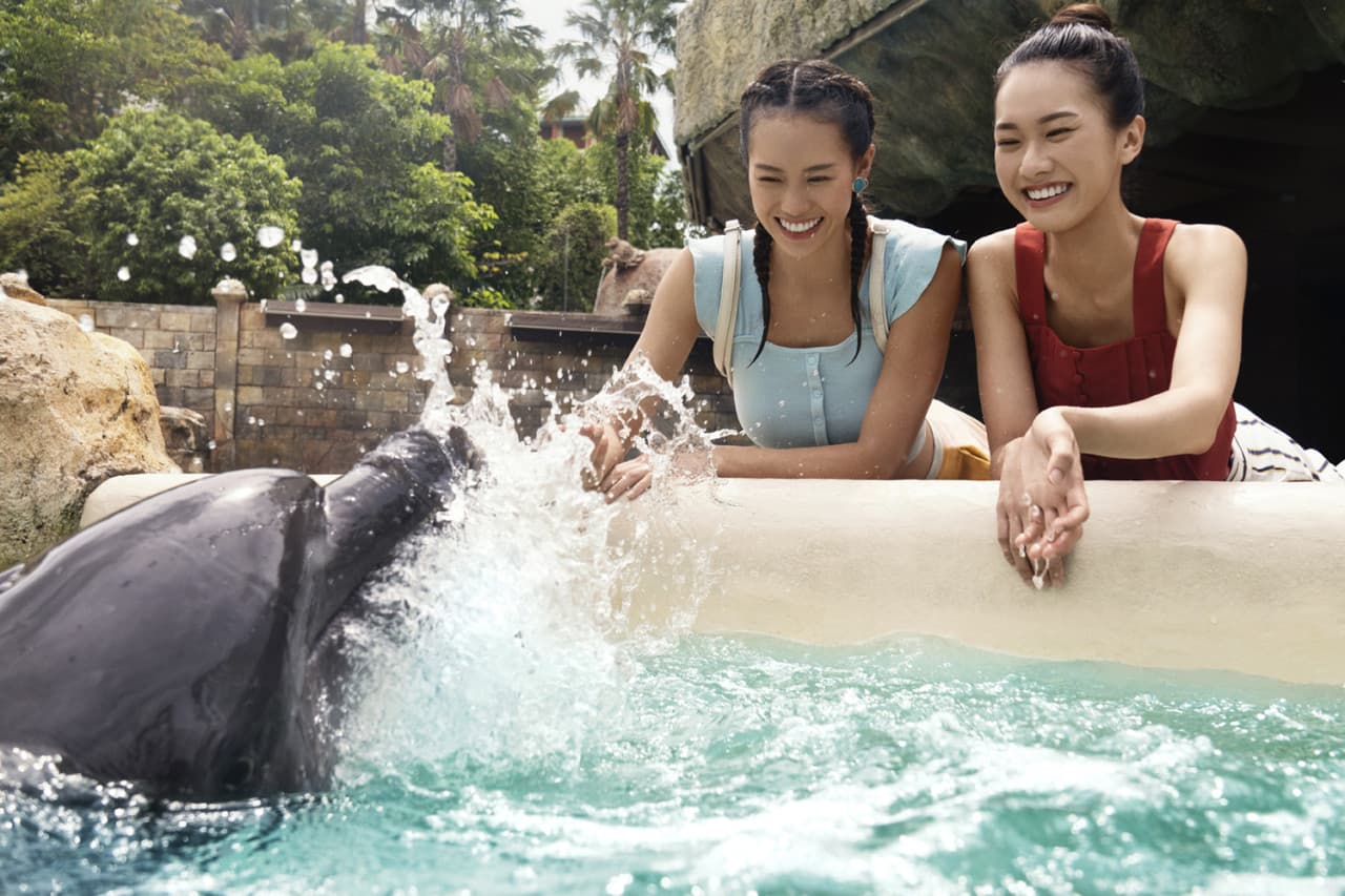 Dolphin Experiences at Marine Mammal Habitat Sentosa - تصویر 5