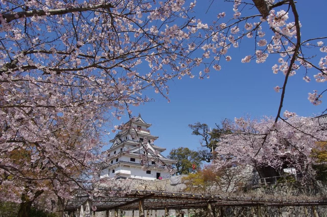 Karatsu Castle Ticket - تصویر 3