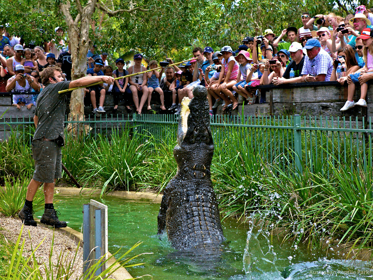 Australian Reptile Park - تصویر 3