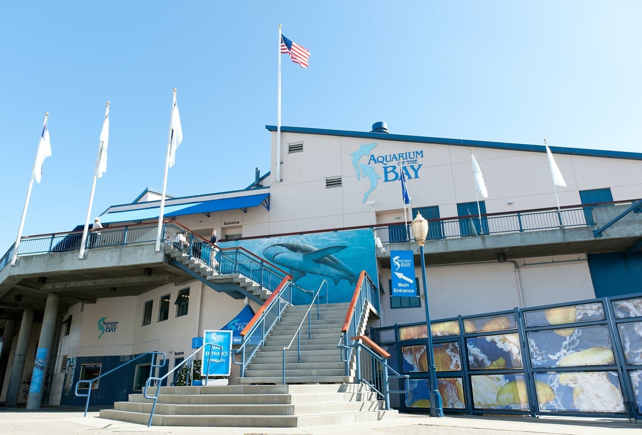 Aquarium of the Bay Ticket - تصویر 4