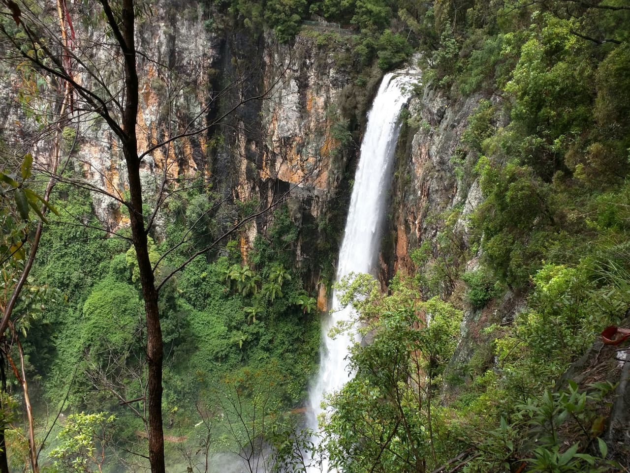 Springbrook National Park Tour: Natural Bridge and Waterfalls - تصویر 9