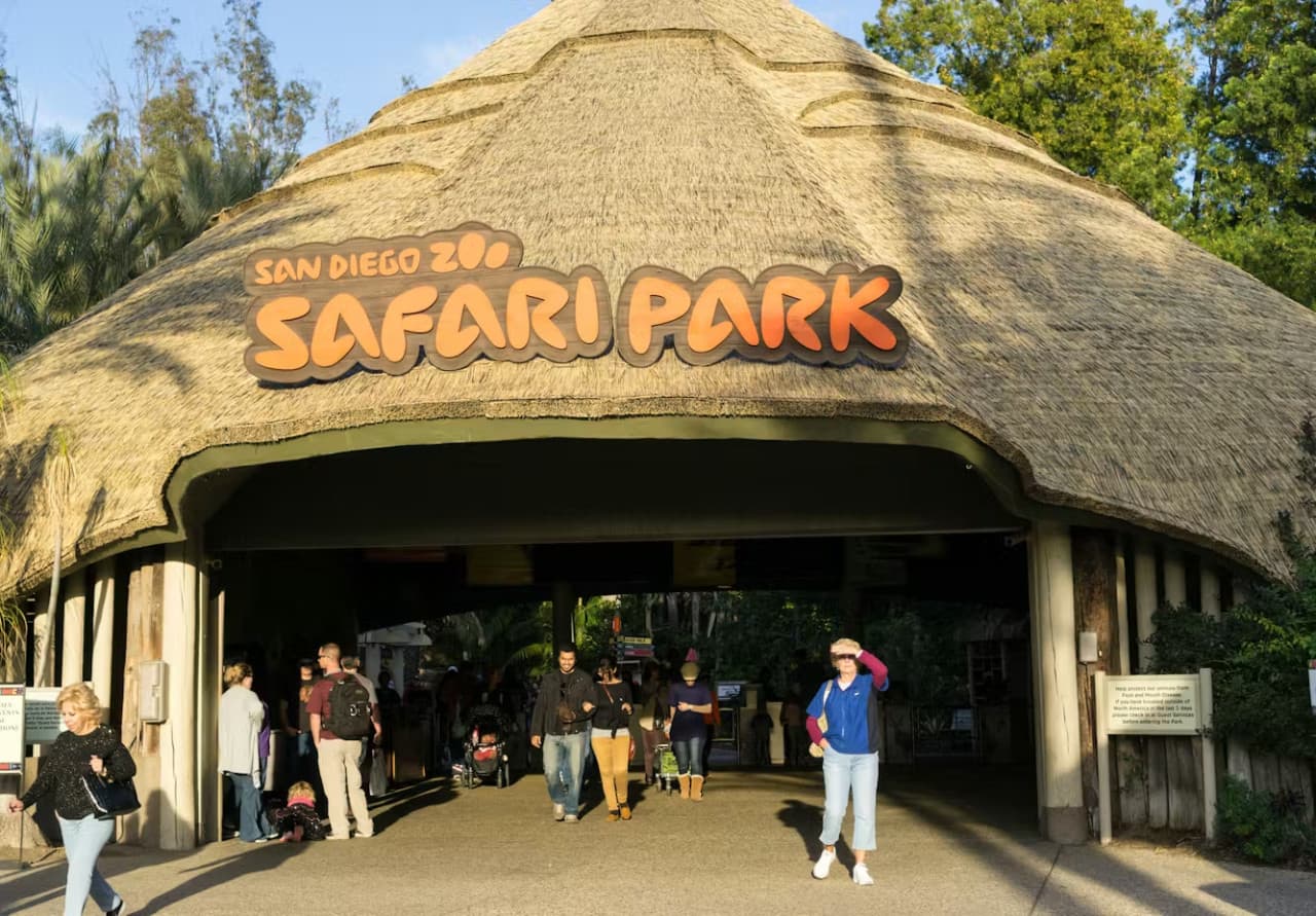 2-Visit Pass: San Diego Zoo + San Diego Zoo Safari Park Tickets - تصویر 9