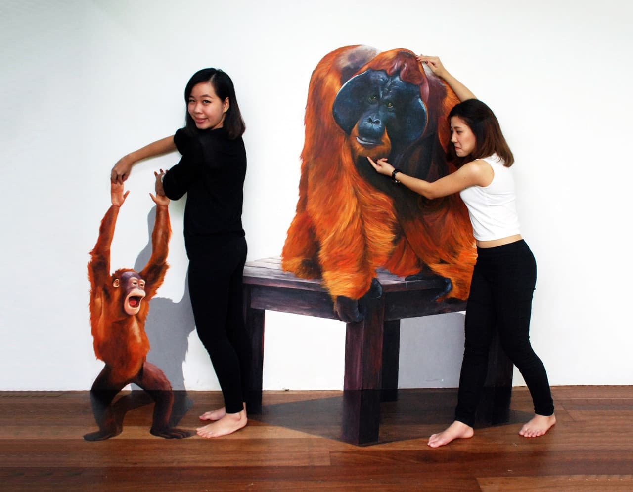 Penang 3D Trick Art Museum - تصویر 8