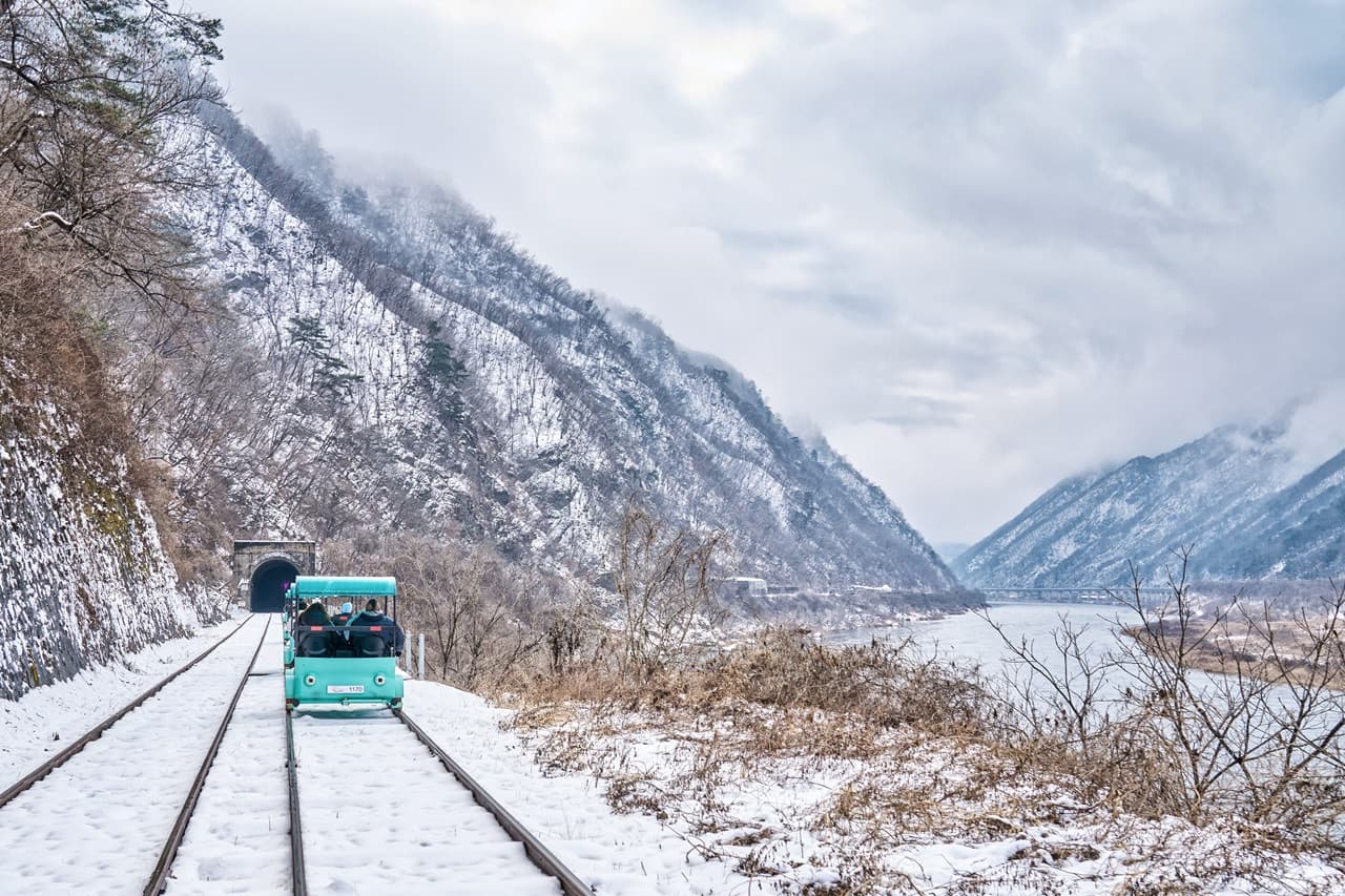 Nami Island, Mount Seorak, and Gapyeong Rail Bike Full-Day Tour from Seoul - تصویر 10