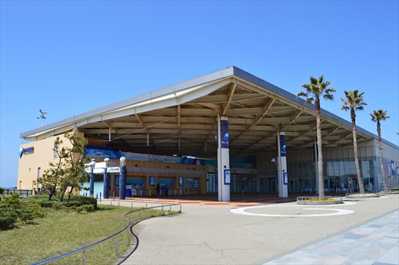 Enoshima Aquarium Ticket - تصویر 8