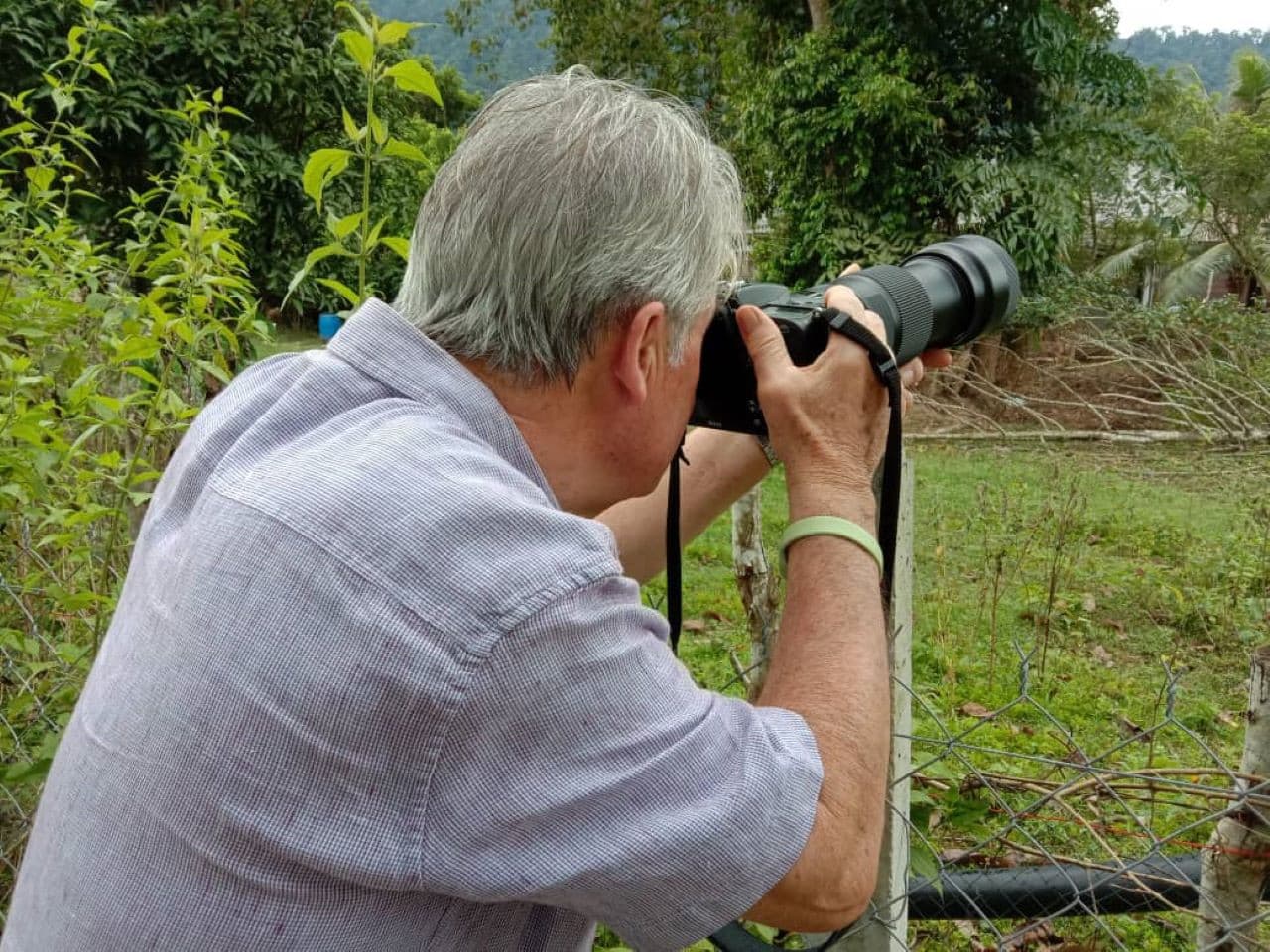 Desaru Coast Birdwatching Experience - تصویر 7