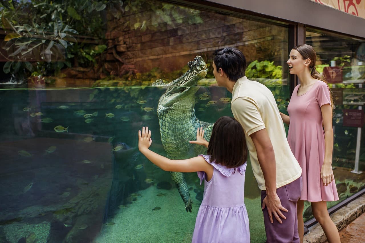 Mandai Destination Pass: Visit Up to 6 Attractions in 1 or 5 Days - تصویر 10