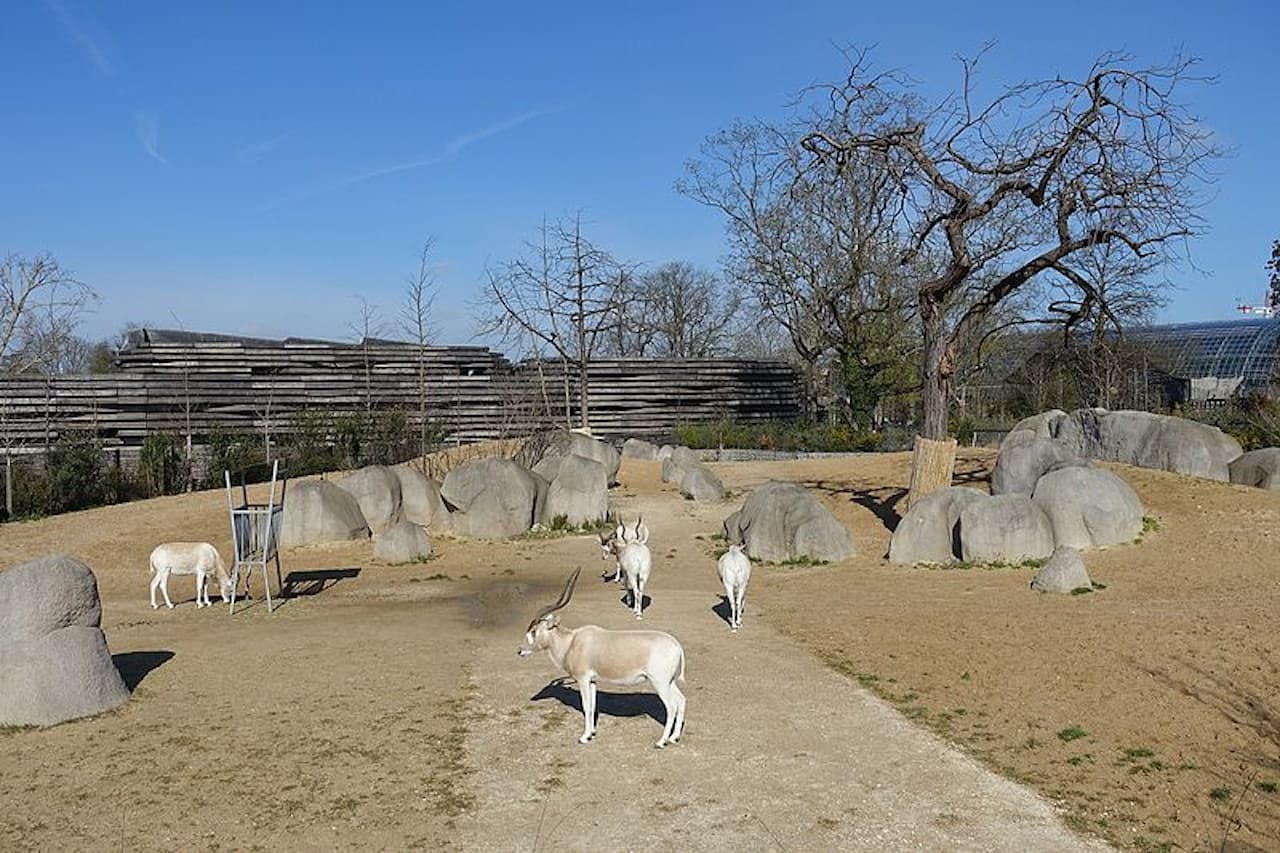 Paris Zoo (Parc Zoologique de Paris) - تصویر 6
