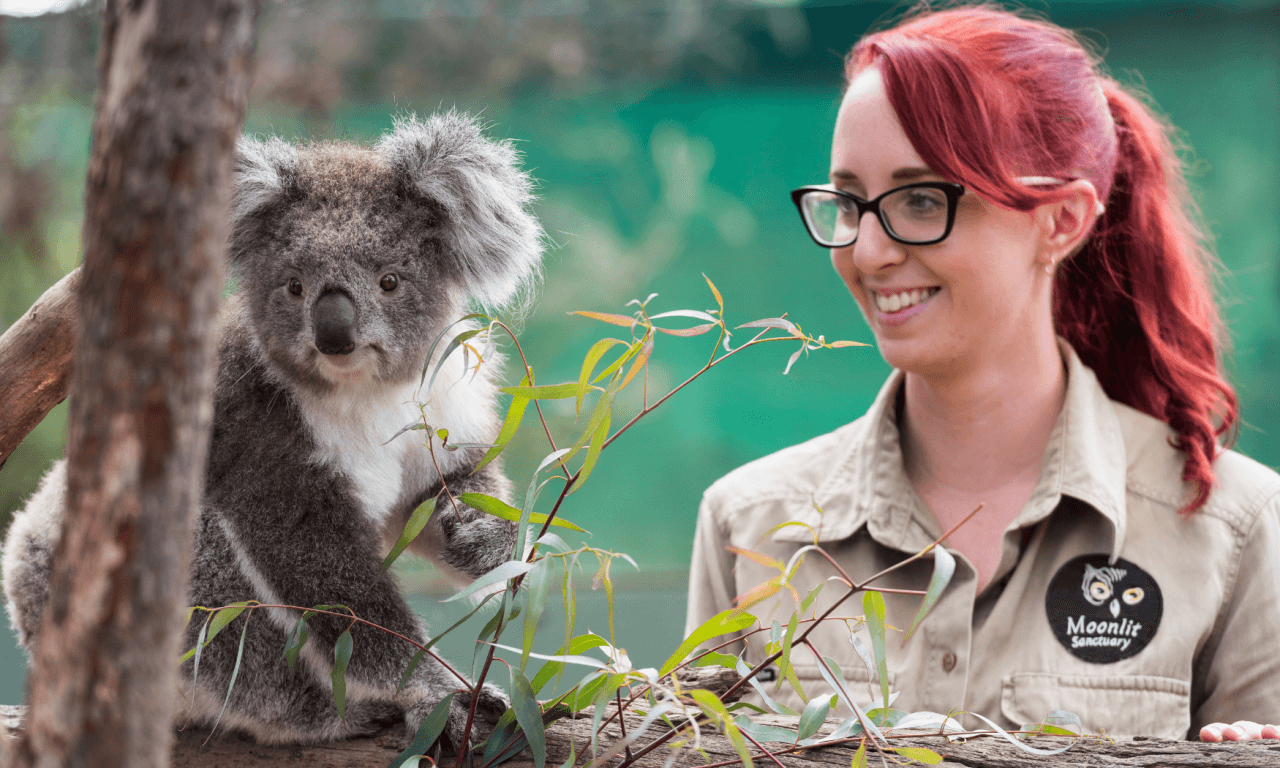 Phillip Island with Penguin Parade Eco Tour - تصویر 26