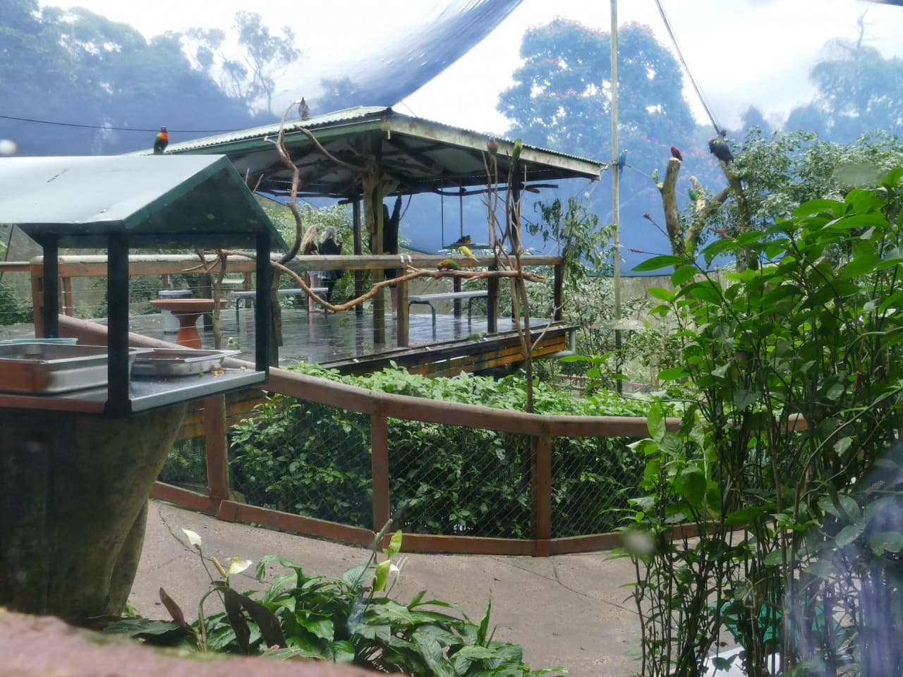 Birdworld Kuranda - تصویر 7