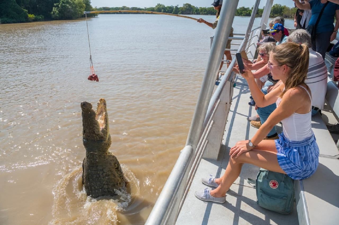 Spectacular Jumping Crocodile Cruise - تصویر 2